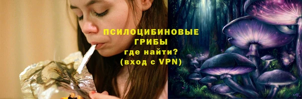 спайс Ельня