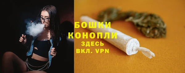 спайс Ельня