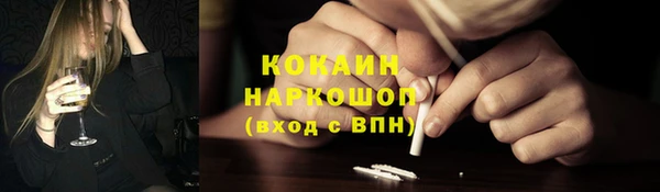 спайс Ельня
